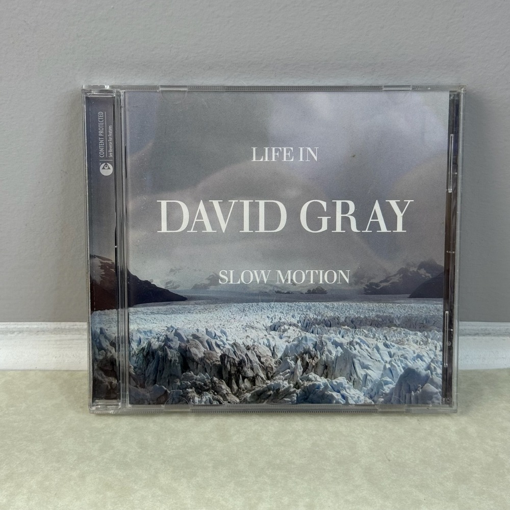 David Gray: Life in Slow Motion (CD Album 2005 RCA Records) Folk Rock‎